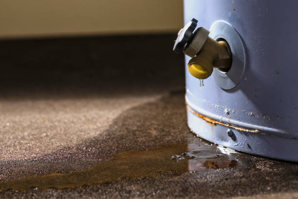 Best Water damage repair service  in Citrus Park, AZ