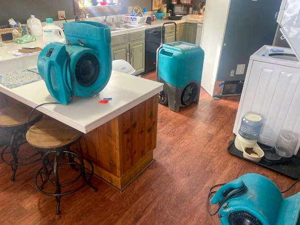 Best Residential water damage restoration  in Citrus Park, AZ