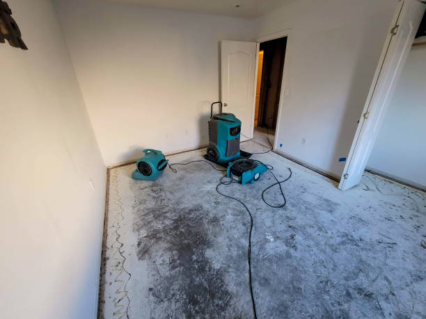 Best Sewage cleanup and water damage restoration  in Citrus Park, AZ