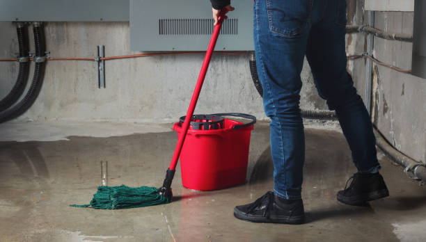 Fire Damage Restoration in Citrus Park, AZ