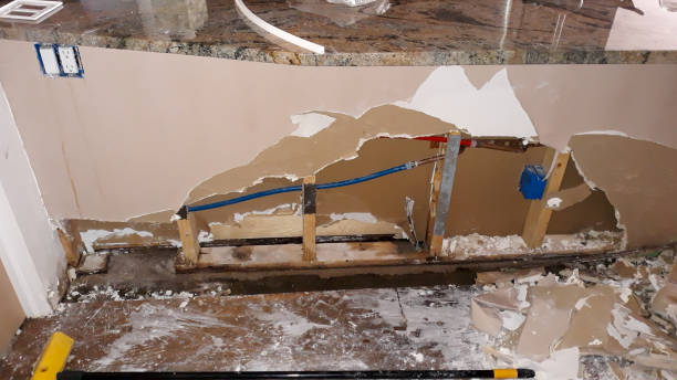 Best Local water damage restoration  in Citrus Park, AZ