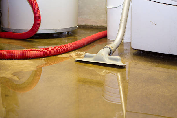 Best Water damage restoration near me  in Citrus Park, AZ