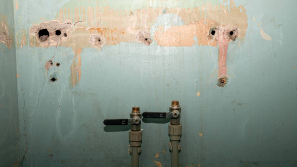 Best Water damage restoration near me  in Citrus Park, AZ