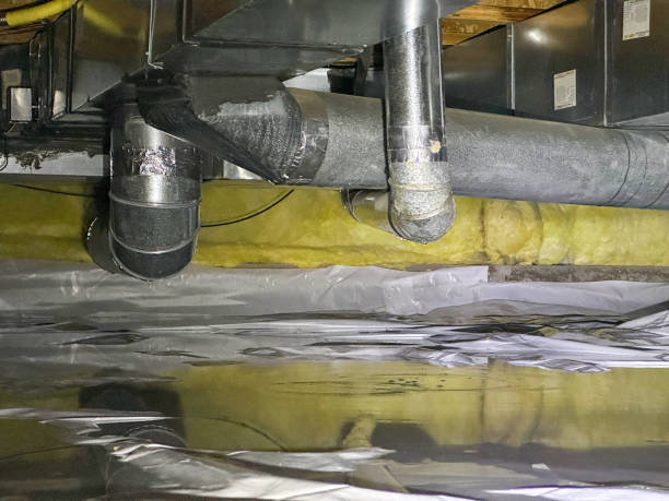 Best Emergency water damage restoration  in Citrus Park, AZ