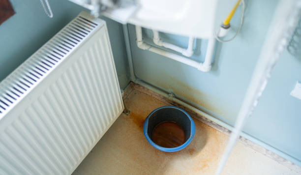 Best Residential water damage restoration  in Citrus Park, AZ