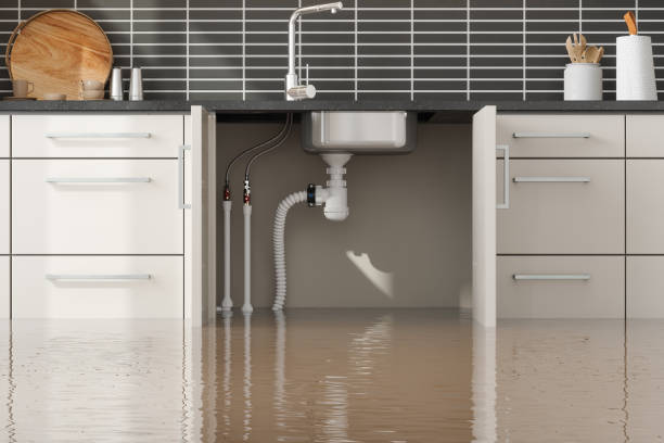 Best 24/7 water damage repair  in Citrus Park, AZ